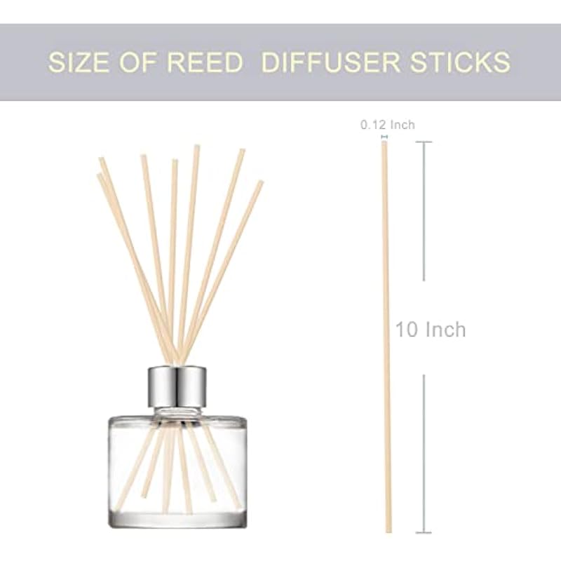 3152nm2k nl. ac us800