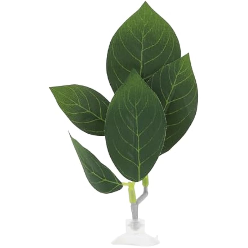 31ec9nmopl. ac us800