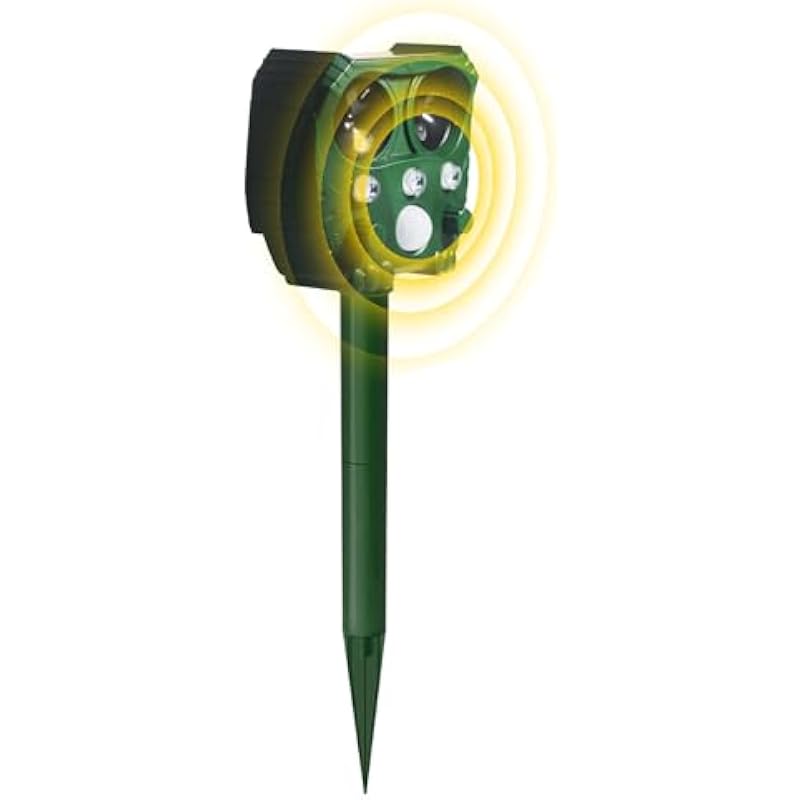 31tymrpdxfl. ac us800