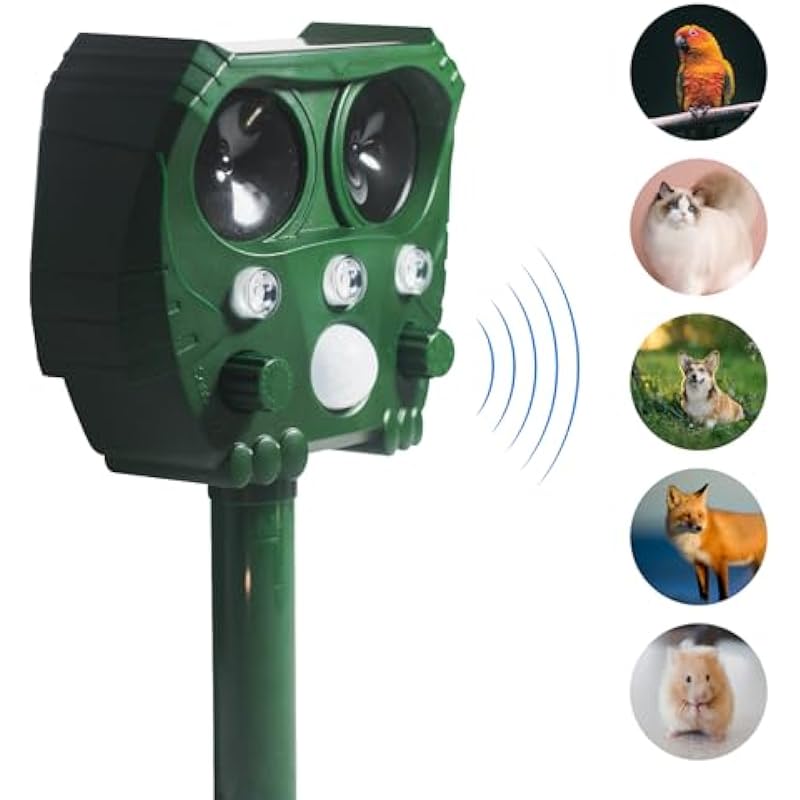 41kd1zqwzl. ac us800