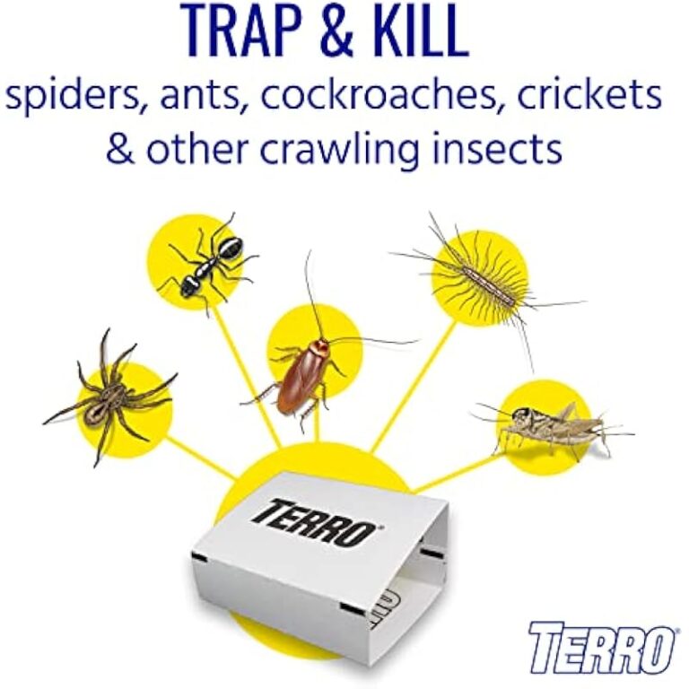 41n40qex4ol. ac us800