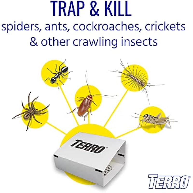 41n40qex4ol. ac us800