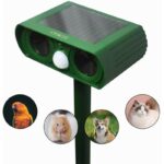 41y6eh2jaxl. ac us800