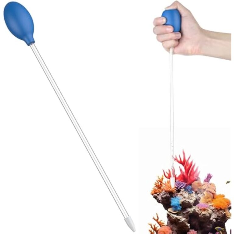 41cvx66ve1l. ac us800