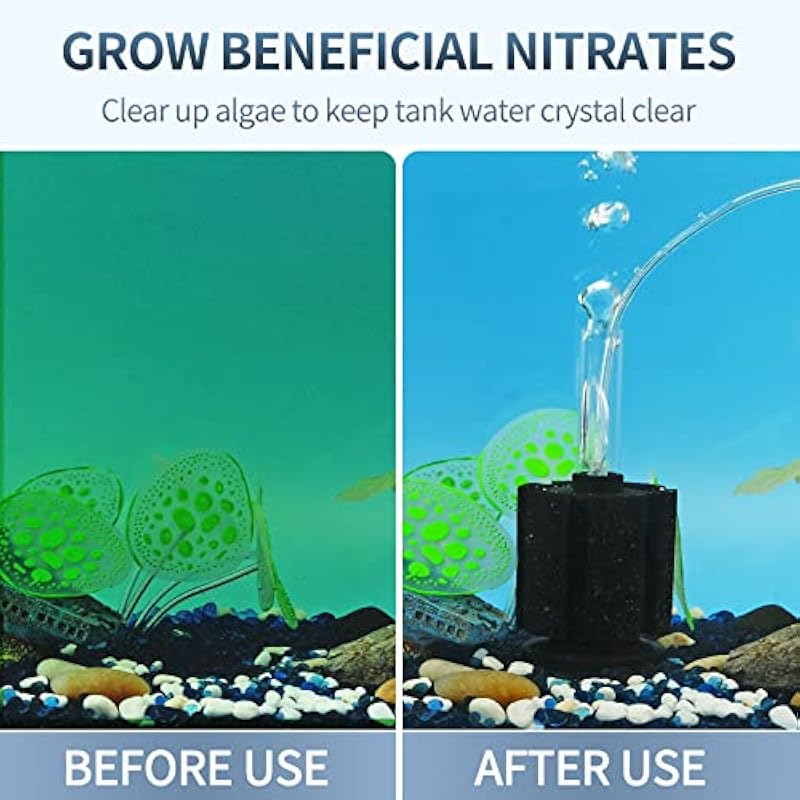 51arsy4pdml. ac us800