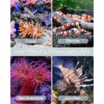 51efi2mgdgl. ac us800