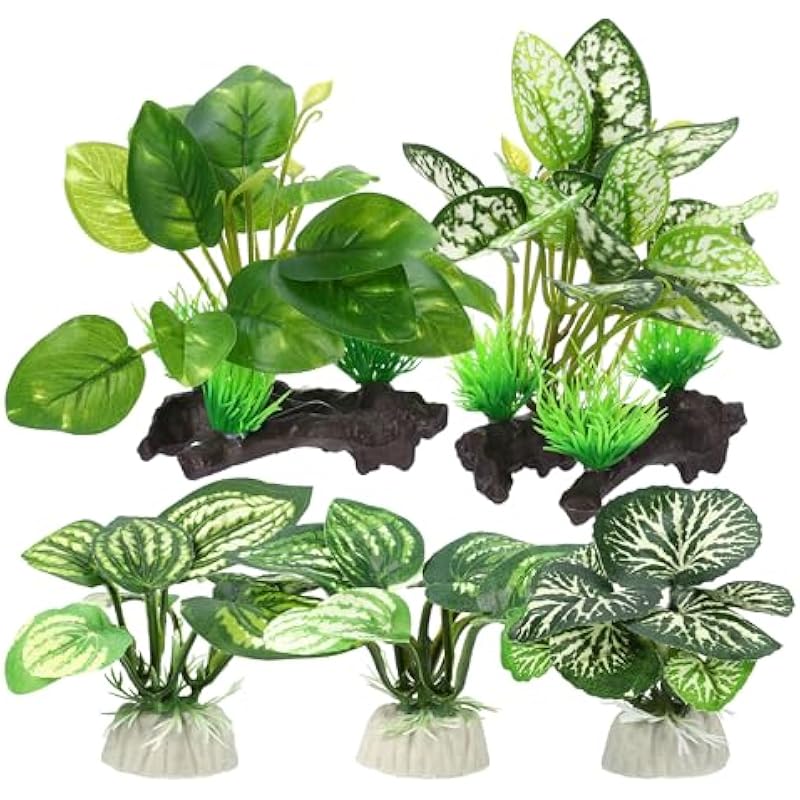 51ggk4hd6il. ac us800