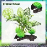 51hu5jzcxhl. ac us800