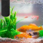 51bj1v0tpil. ac us800