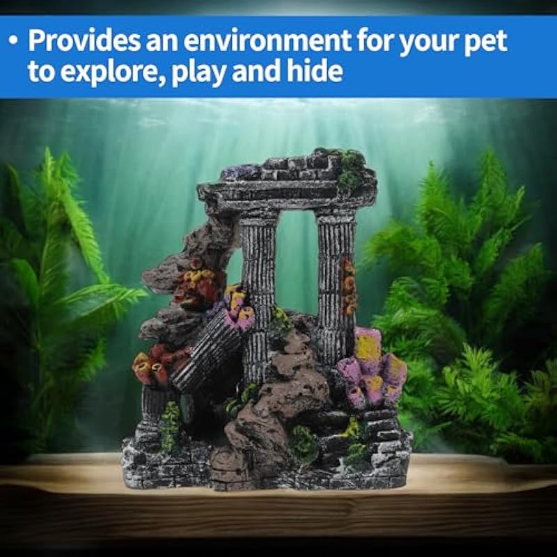 51egnmxebdl. ac us800