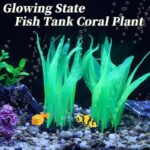 51mqzjxbj4l. ac us800