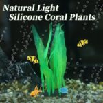 51nue5ngeil. ac us800