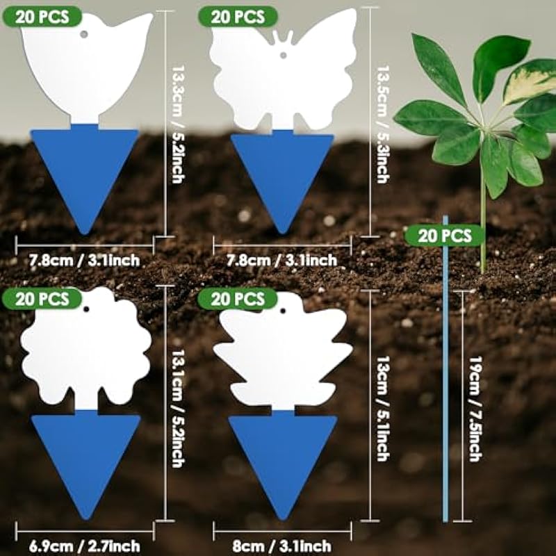 51yibp8s8l. ac us800