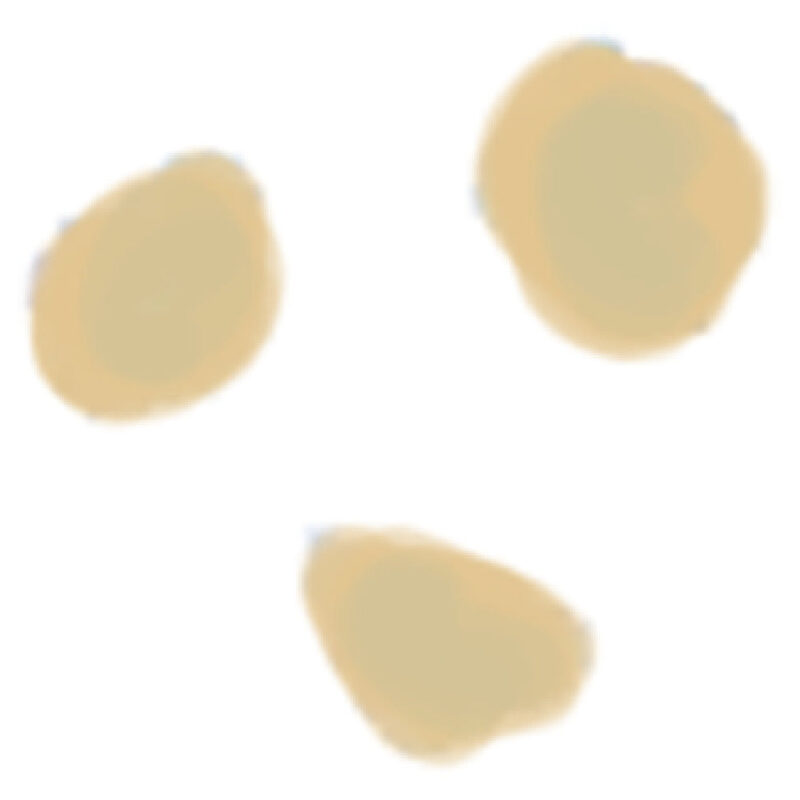 65be698b 43b2 41f5 8f61 444ae5929929 2595ca8b 9dde 443a 8e08 87559591b577